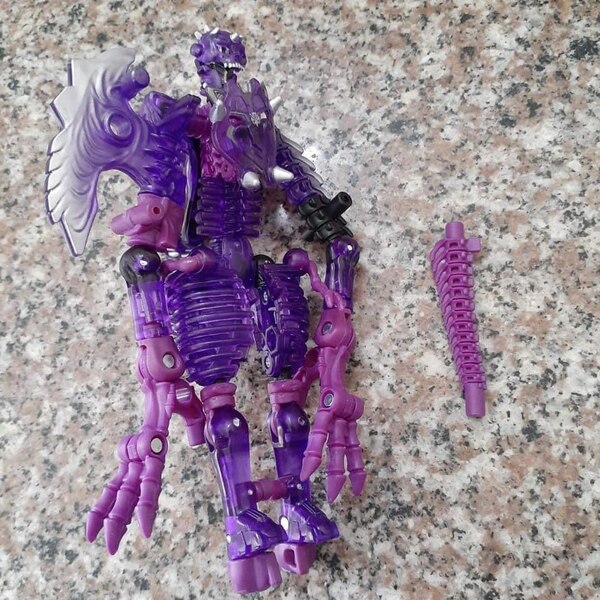 Transformers Purple Clear Paleotrex (1 of 3)